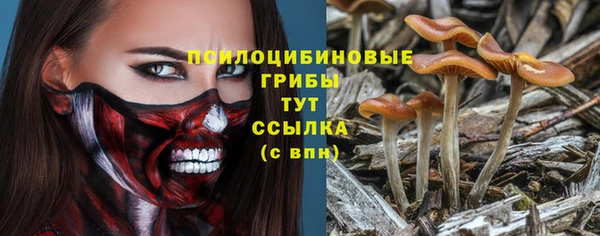 ALPHA-PVP Алексеевка