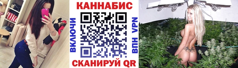 Бошки Шишки THC 21%  Стародуб 